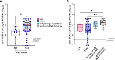 Cellular immune response to SARS-CoV-2 in patients with primary antibody deficiencies